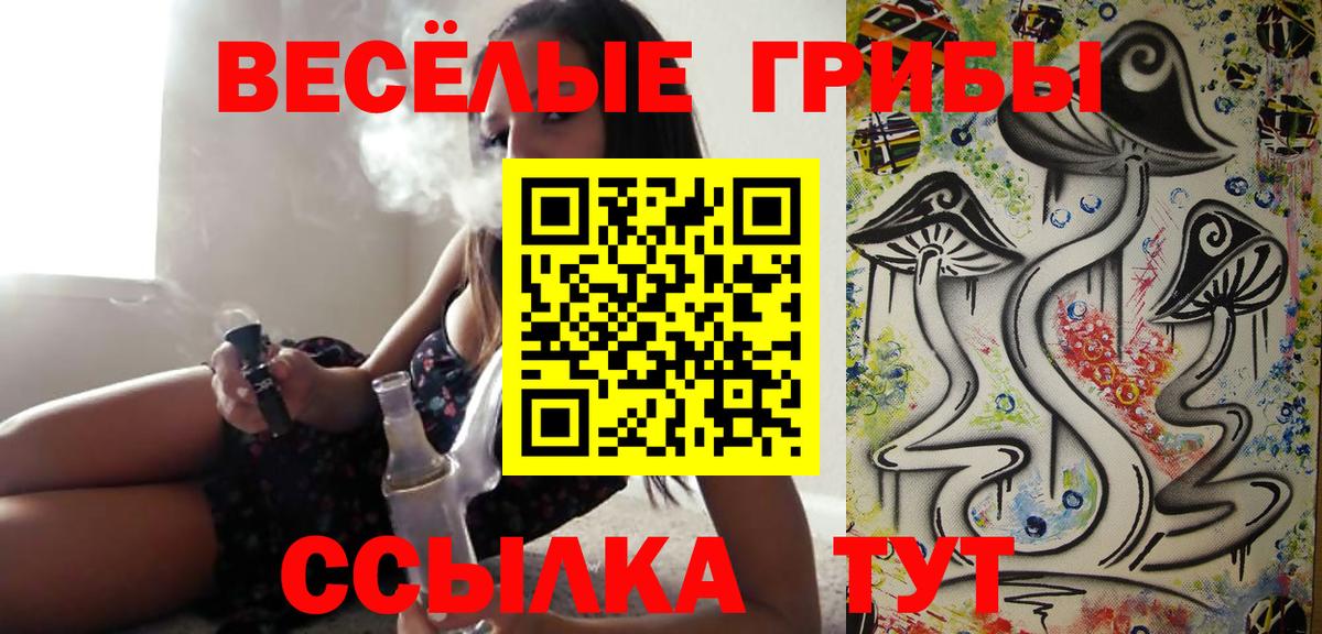 Псилоцибиновые грибы GOLDEN TEACHER  Вход с VPN  Карпинск 