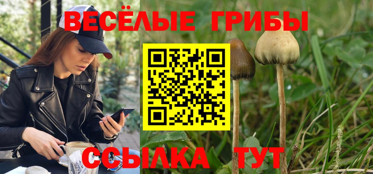 Галлюциногенные грибы мицелий Карпинск